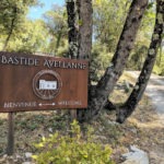 Entrance to Bastide Avellanne